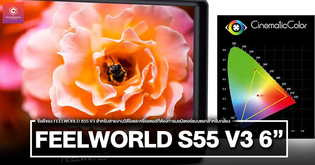 ข้อดีของ FEELWORLD S55 V3 สำหรับสายงานวิดีโอและครีเอเตอร์ที่ต้องการมอนิเตอร์แบบแยกสำหรับกล้อง